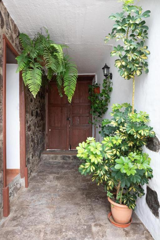 Casa Canaria Acero Garachico  Ngoại thất bức ảnh