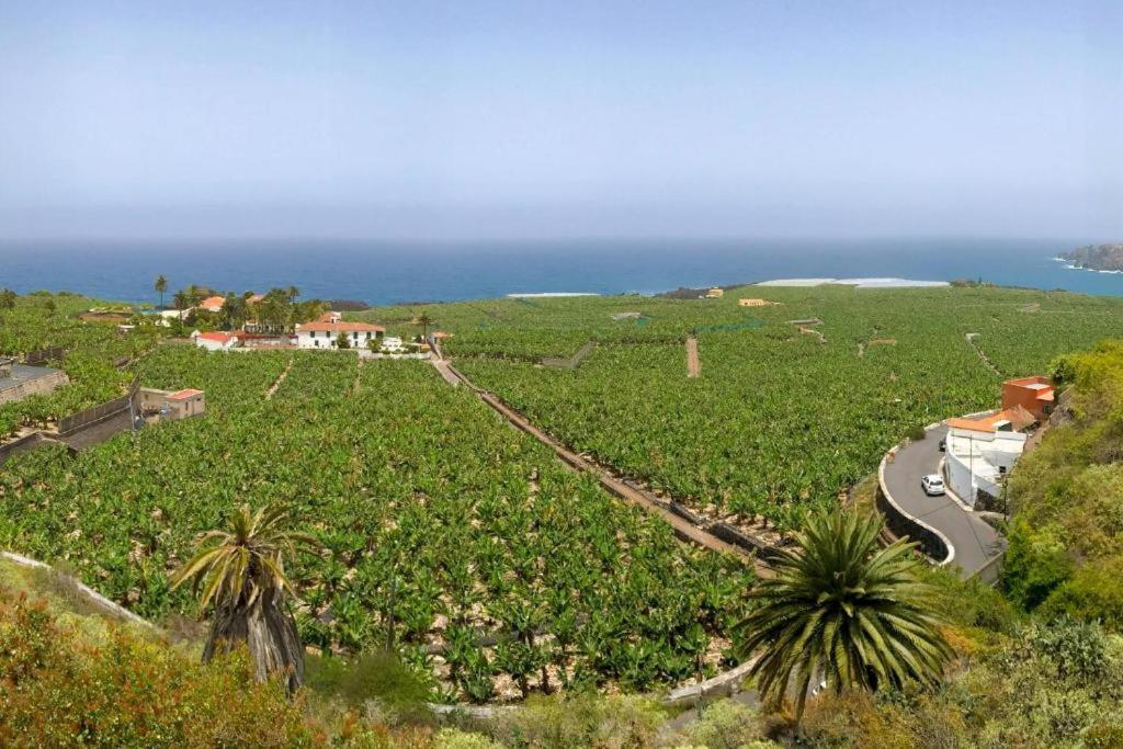 Casa Canaria Acero Garachico  Ngoại thất bức ảnh